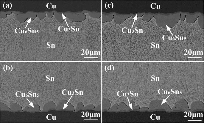 IMC Formation SEM Image