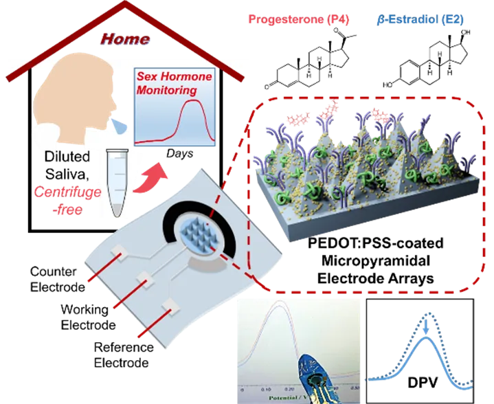 Sub-Femtomolar Flexible Electrodes for At-Home Sex Hormone Monitoring