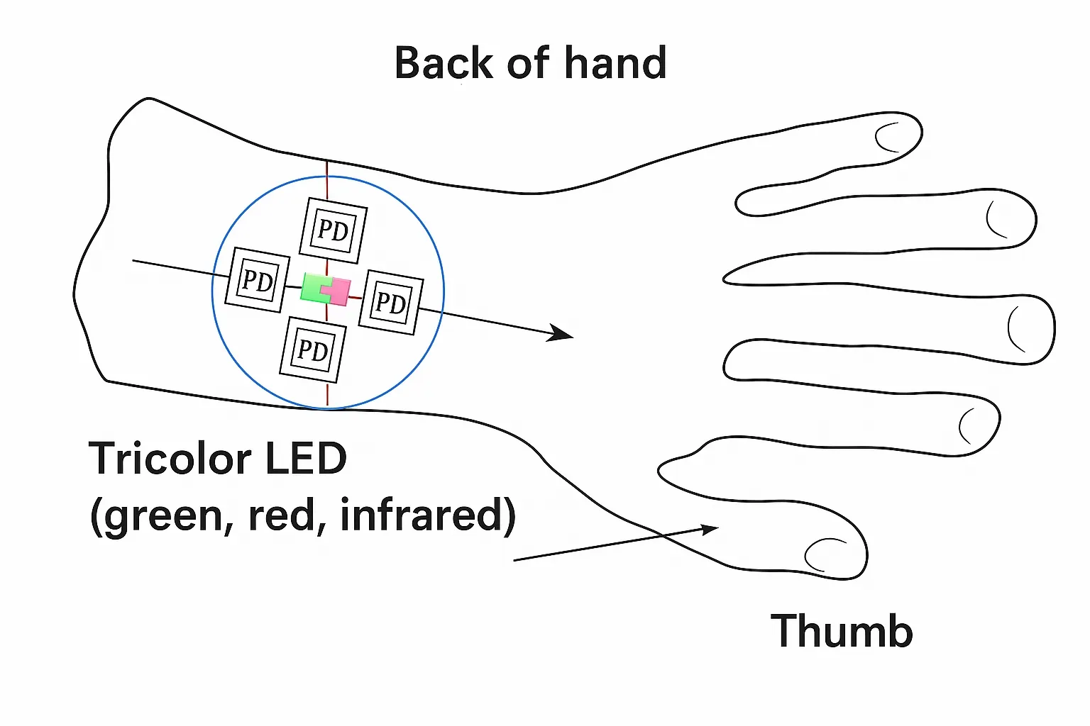Cross optical layout diagram