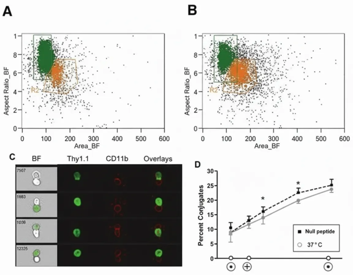 High-content imaging flow cytometry in immunology
