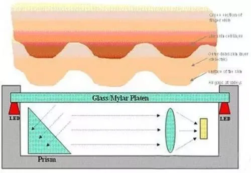 optical fingerprint sensor