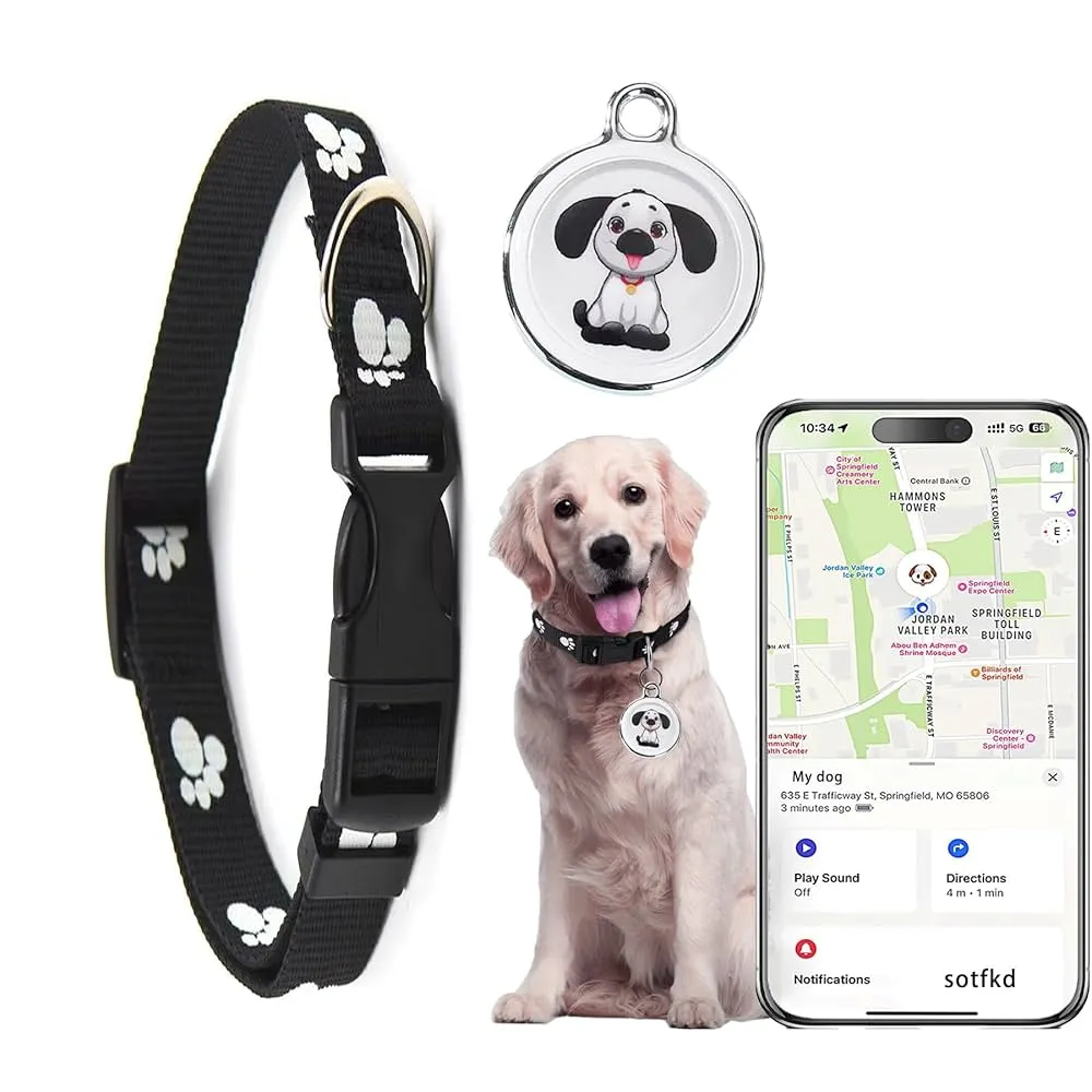 Compact pet tracker on dog collar highlighting battery life importance