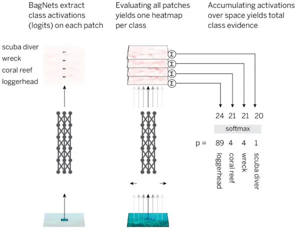 BagNets classification strategy