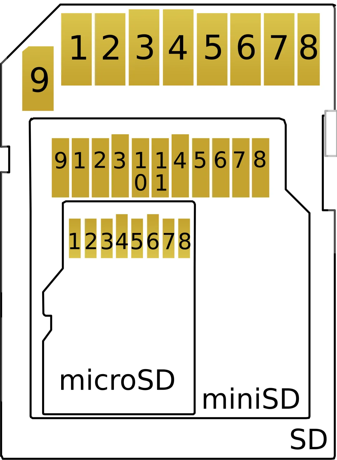 SD cards are available in multiple form factors