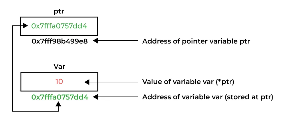 Pointer Syntax and Behavior in C