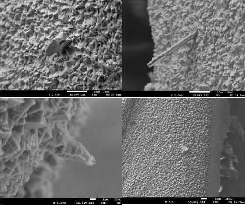Microscopic view of tin whisker formation on immersion tin PCB finish.