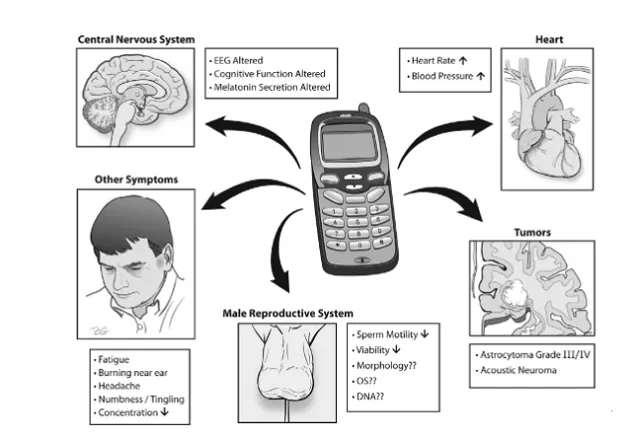 Health Risks of Base Station EM Radiation