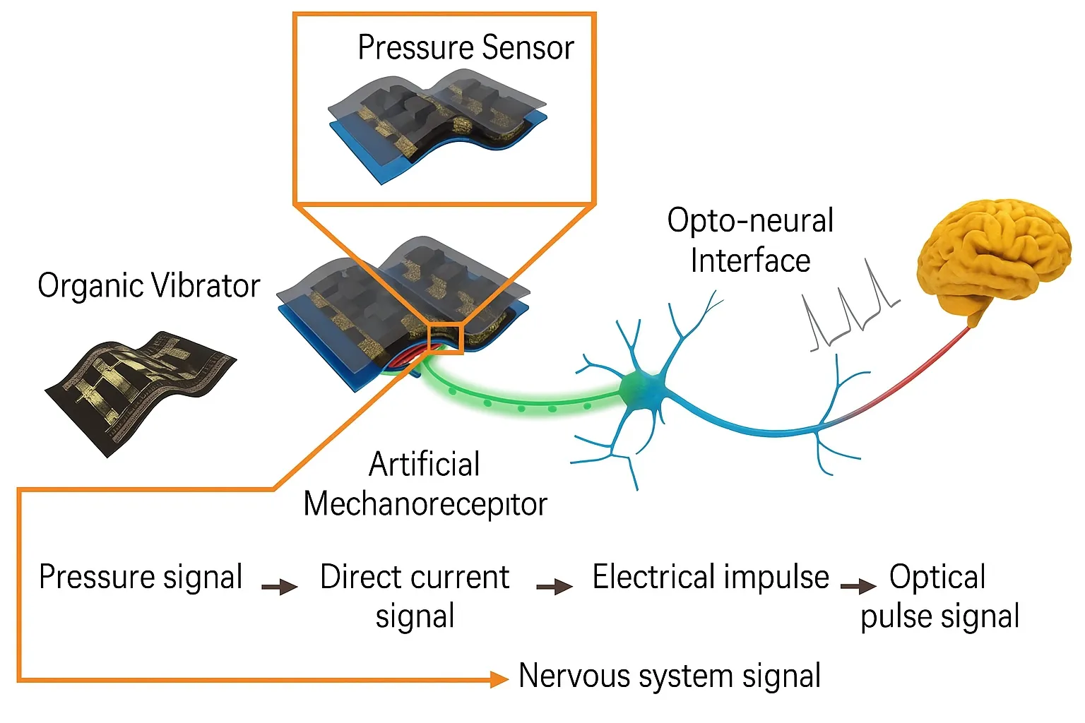History and Applications of Electronic Skin