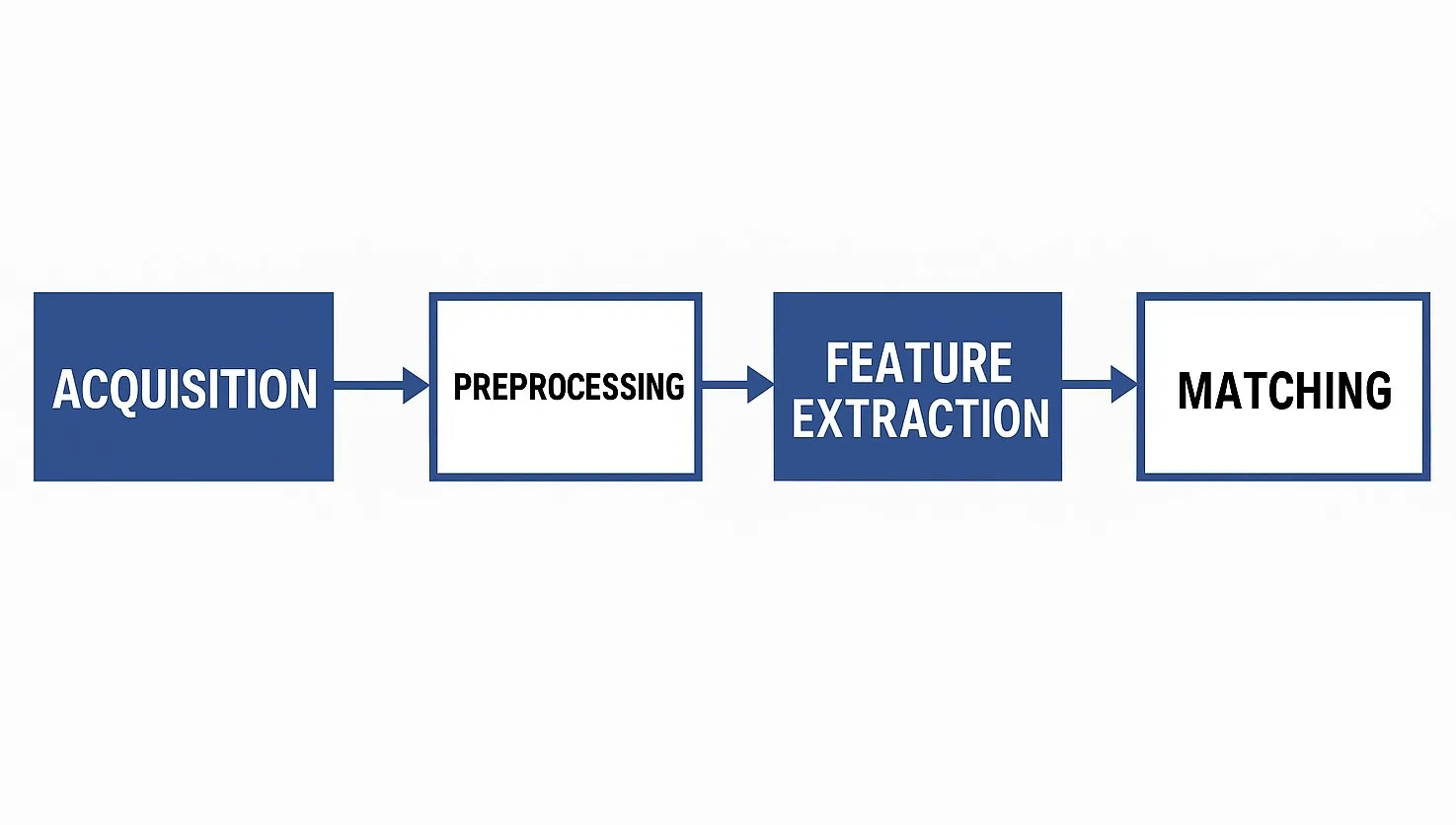 Face recognition principles