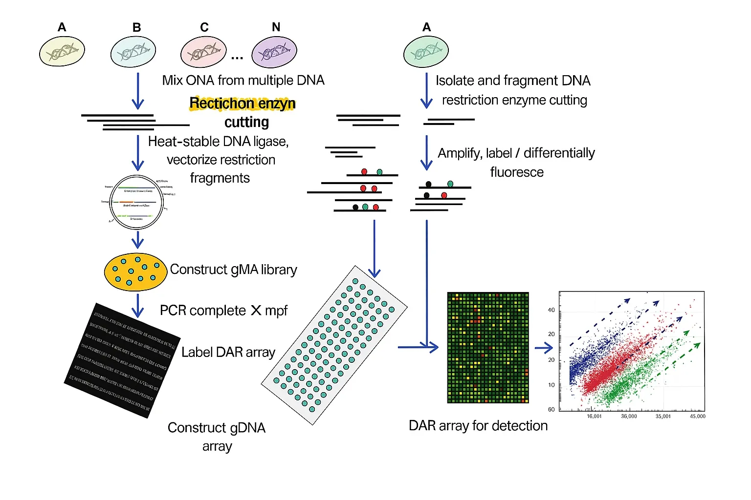 How Gene Chips Work and What Diseases They Detect