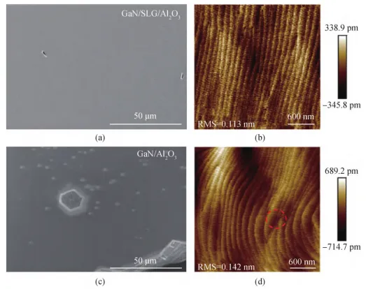 GaN Heteroepitaxy on 2D Materials and Applications