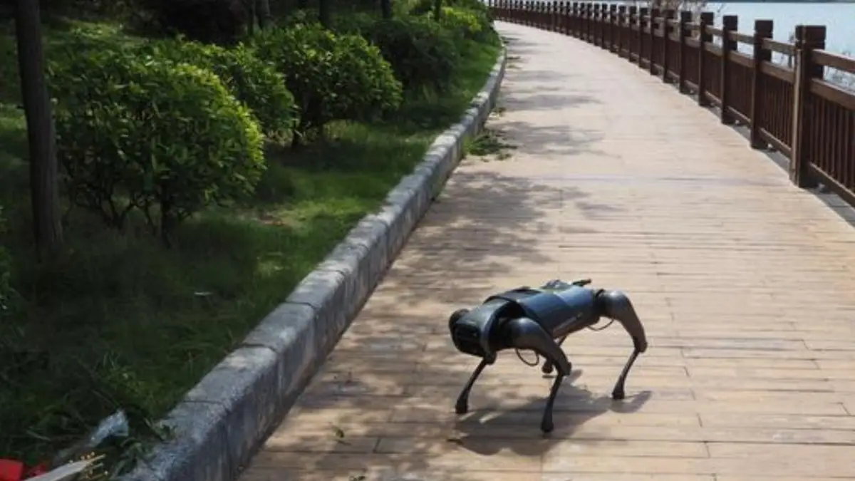 AI Patrol Robot for Red Imported Fire Ant Control