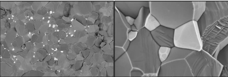 Microscopic view of ceramic-filled Rogers laminate showing minimal void structure for low moisture ingress