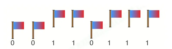 flag binary example