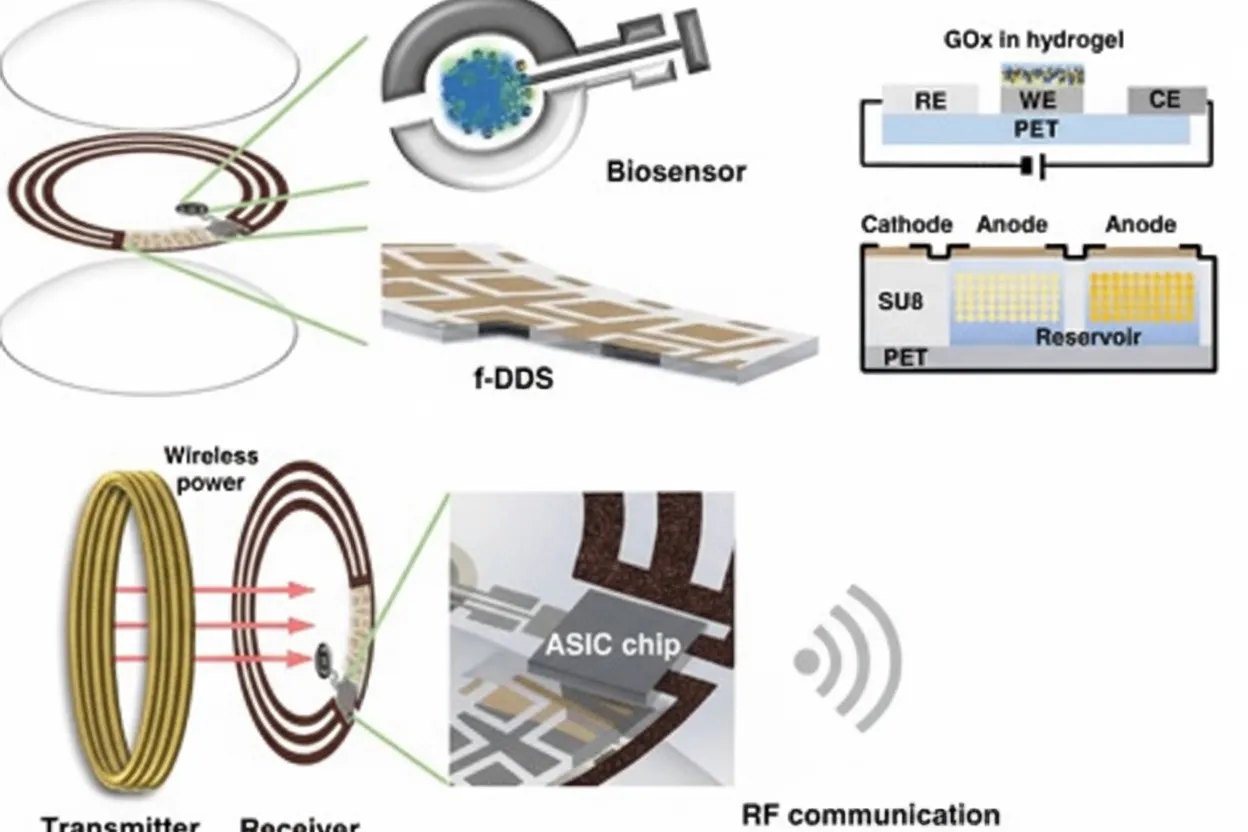 Schematic of smart contact lens for diabetes diagnosis and treatment