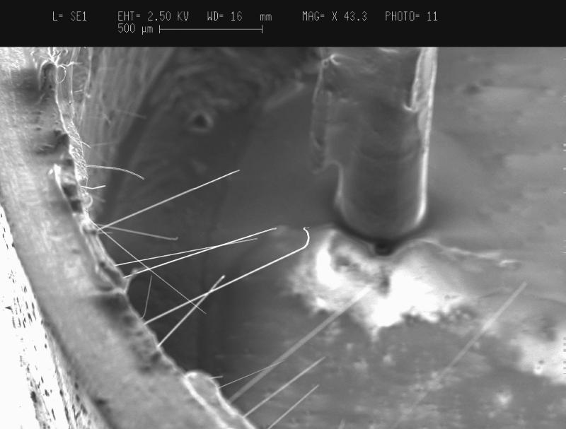 pcb tin whiskers