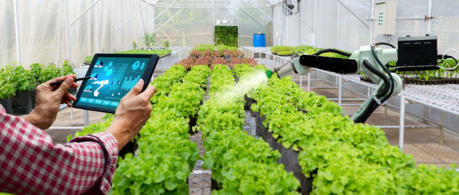 Flexible PCB used in a livestock monitoring device for smart agriculture."