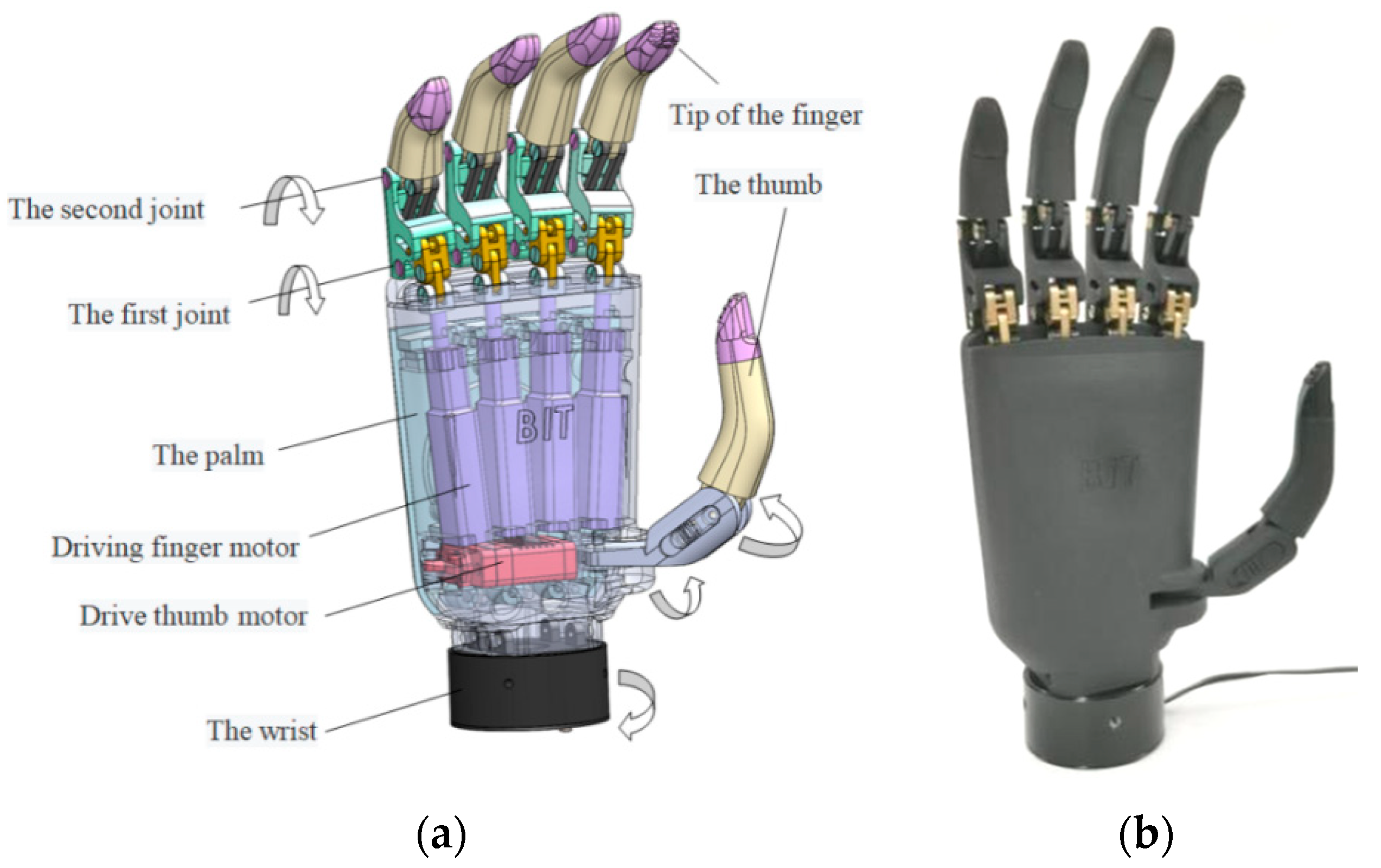 Prosthetic limb showcasing electronic components for power management