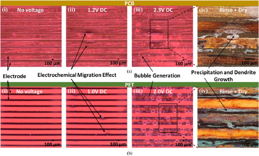PCB under microscope for electrochemical migration testing