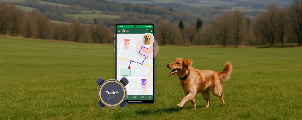 Pet wearing a durable GPS tracker in an outdoor environment