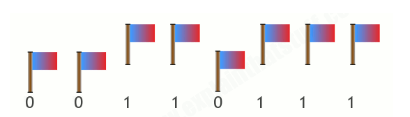 flag binary example