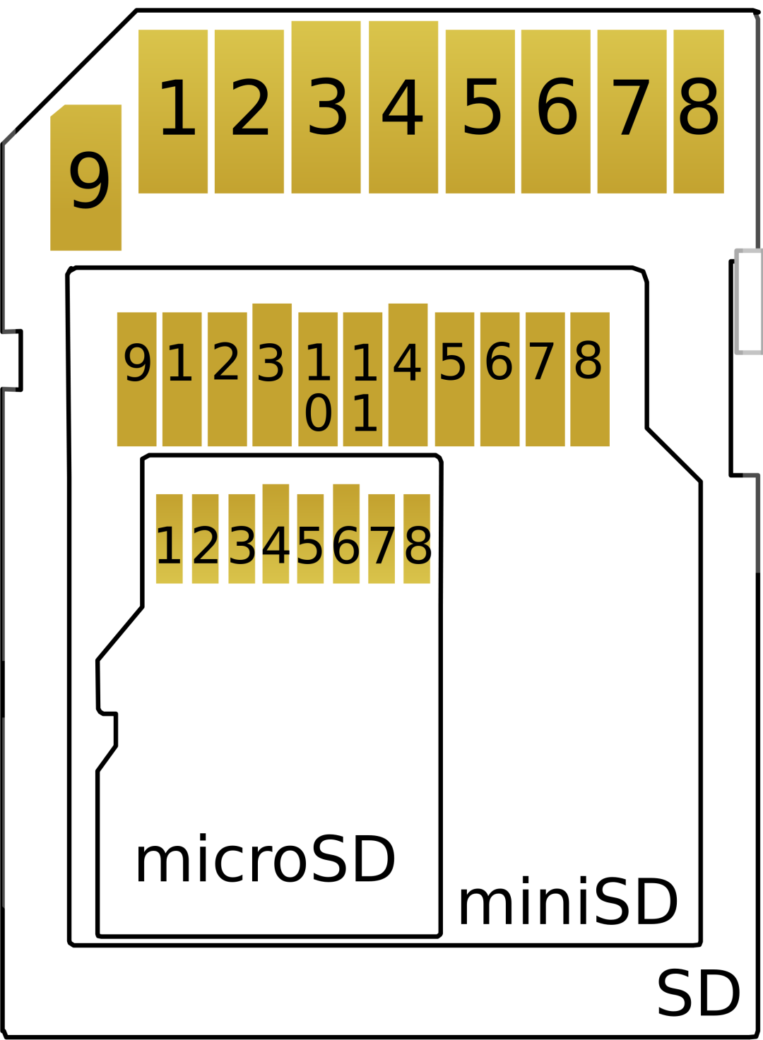 SD cards are available in multiple form factors
