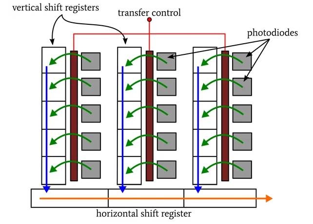 In interline-transfer architecture, storage and vertical transfer regions sit between photosensitive columns