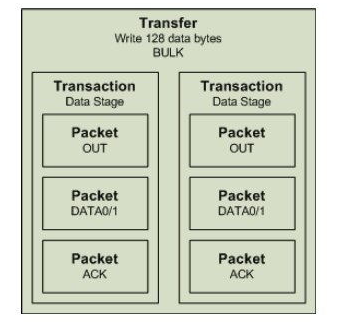 Figure 3 Bulk transfer structure