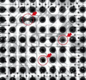 X-ray scan of BGA solder joints with voiding defects.