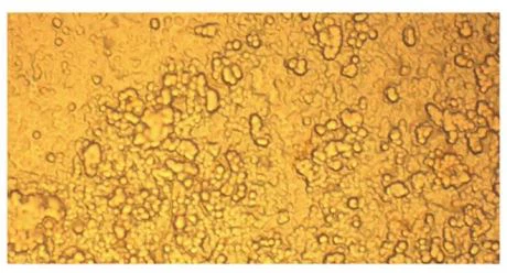 Microscopic view showing abrasion marks and corrosion on PCB gold fingers