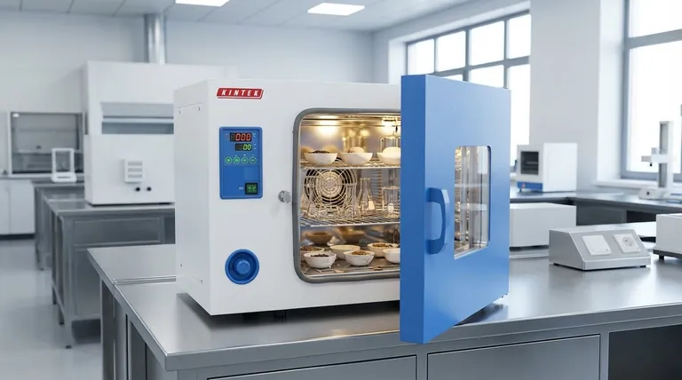 Component Bake-Out Oven