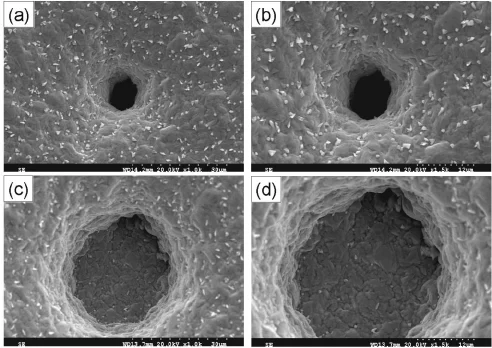 Laser Drilled Microvia