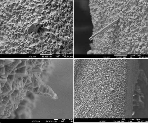 SEM image showing tin whiskers on immersion tin surface after accelerated aging