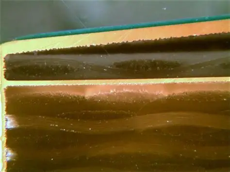 Microsection Cross-Section View